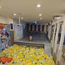 상동물병원 | 부천 상동 큐리키즈카페 방문 후기