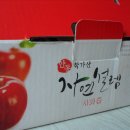 달사과마을 이미지