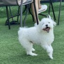 독플래닛 이미지