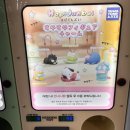 새근새근 | 산리오 해피단브이 스야스야 새근새근 가챠하고 위시로 삼중복 걸린 웃기는 후기