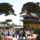 국화어린이공원 이미지