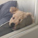 거북씨