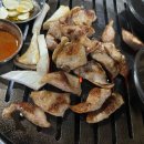 돼한민국 이미지