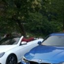 조은한우농장 이미지