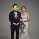 금비 티브이데일리