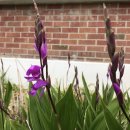 삼계초등학교 이미지