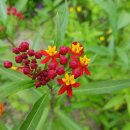 강원도자연환경연구공원 이미지