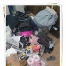 해외이사업체 유니콘에스에이로 이민 이사 준비한 솔직 후기
