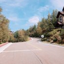 거닐 거닐 이미지