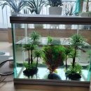 한국관상어협동조합 이미지