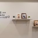 더예쁨무인셀프사진관 네이버블로그