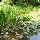 밤토실어린이작은도서관 이미지