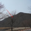 무주읍101 이미지