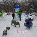 제주윈터페스티벌
