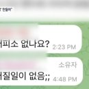 (종편주의) “딥페이크 유포자들, 수사 대비해 ‘대피방’ 만들어” 이미지