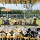 101애견유치원 이미지