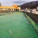 김해활천초등학교 이미지