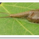 전의농장 이미지