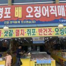 경포배오징어 이미지