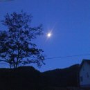 버들골농장 이미지