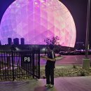 [Austin Record] 미션 임파서블 같았던 라스베가스 경유와 3개월 만의 한국 입국