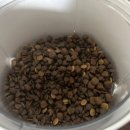 이75덴탈 이미지