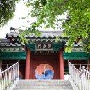 순천-48호 티스토리