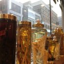 한본삼계탕 이미지