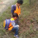 부곡어린이집 이미지