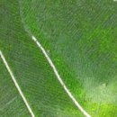 영암햇살농장 이미지