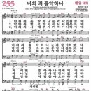 255 Daum카페