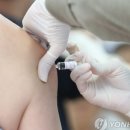 와이에스팜 이미지