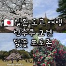 벚꽃 | [일본 도쿄 여행] 신주쿠 교엔 벚꽃 포토존 후기 추천 꿀팁 입장료