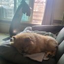 정옥이네식당 이미지