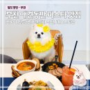 (주)라이코스펫 | 부천 애견동반 식당 레오스토랑 | 펫룸 있는 파스타 맛집