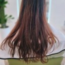 플랜에이치 내포신도시점 이미지