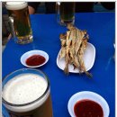 호프나라 이미지