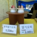 보성군 가족센터 화장실 | [보성다향대축제] 첫날 방문 후기, 2026.05.01(금) ~ 2026.05.05(화)