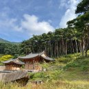 유가사등산로 이미지