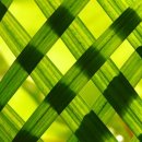 인하대부속고등학교 이미지