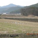 모후산산장