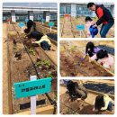 스마일농장 이미지