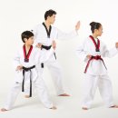 국민1태권도 이미지