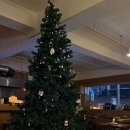 피자뽀끼 | 이태원 화덕피자 맛집 '미드나잇 바이츠' 내돈내산 솔직후기(마르게리따 피자, 마라로제 뇨끼뽀끼 리뷰)