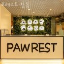 도봉 애견 미용앤호텔 | 서울 도봉구 애견호텔 포레스트 창동 사용자리뷰 영업시간 위치