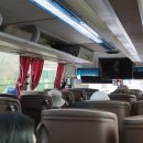 봄나드리투어 이미지