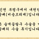 황*배