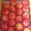 옛살비농장 이미지