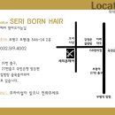 세리헤어클럽 - 남동구 | 세리헤어클럽