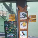 앵무새동물원 | 서울대공원 동물원 Zoo 사진 &amp; 동영상 🥰 다녀간 동물원 후기 3탄 !! 😍귀여운 앵무새들❤️
